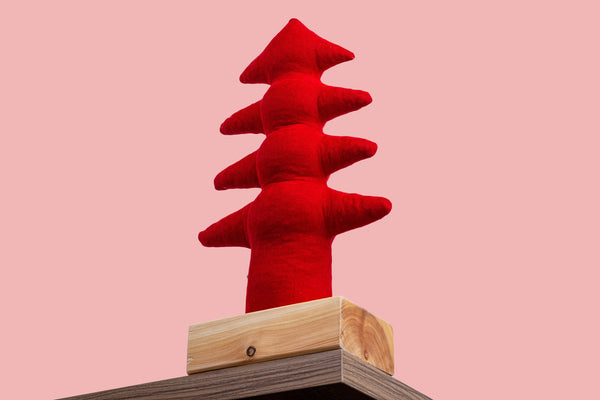 Kayigo Çam XL Lavanta Dolgulu Notluk Kırmızı