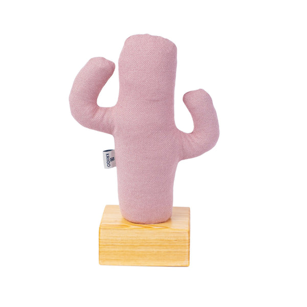 Kayigo Cactus Lavanta Dolgulu Notluk