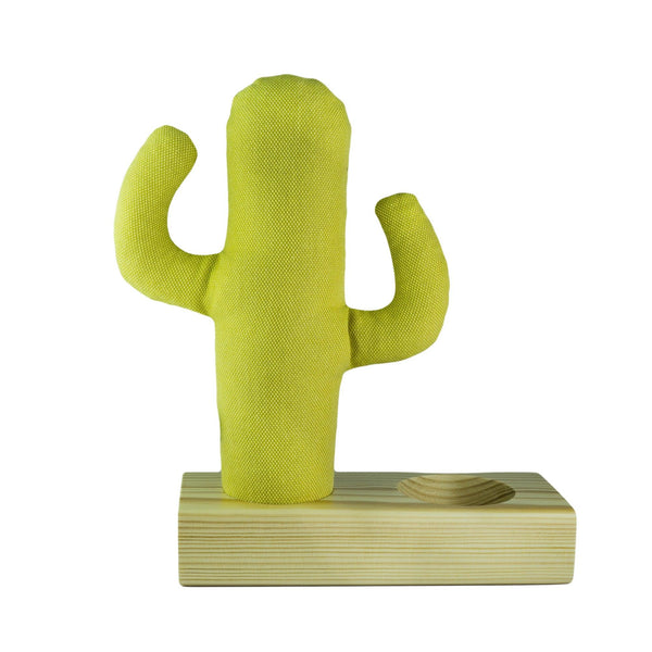 Kayigo Cactus XL + Station Organizer - Bonherre