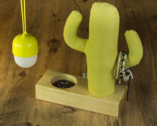 Kayigo Cactus XL + Station Organizer - Bonherre