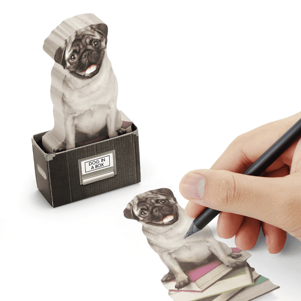 Dog in a Box - Notluk - Bonherre