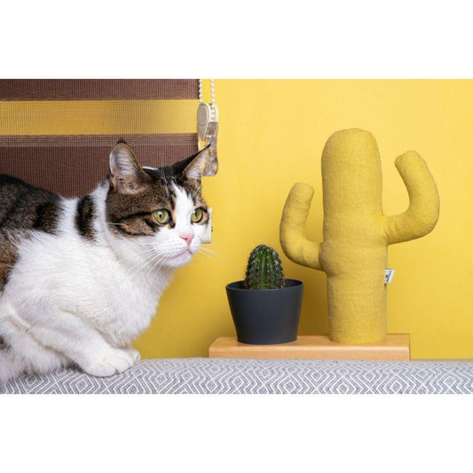 Kayigo Flowery Saksılı Notluk - Sarı Kaktüs - Bonherre