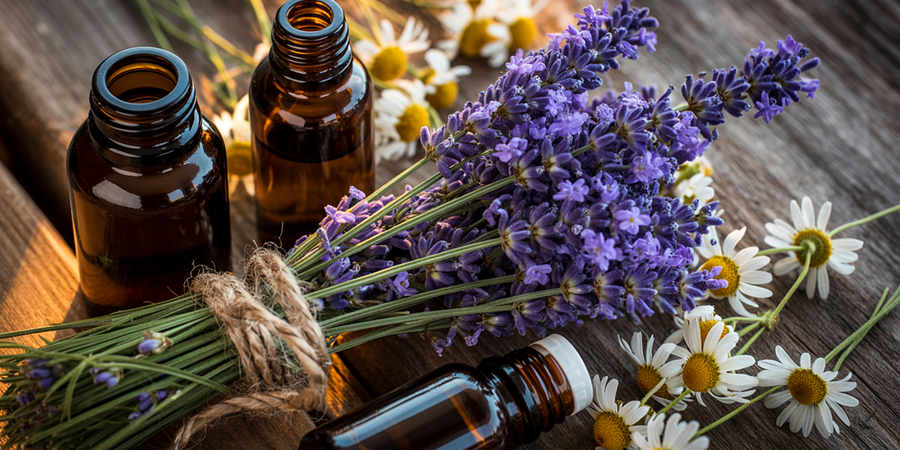Parfüm notaları nelerdir? Üst, orta ve dip notaları; odunsu, aromatik, amber, deri ve diğer koku ailelerini keşfederek doğru parfümü seçin.