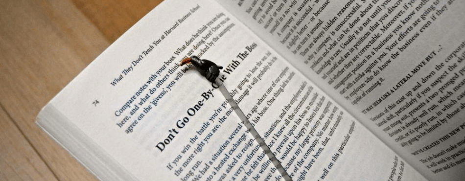 Ayraçlar - Bonherre