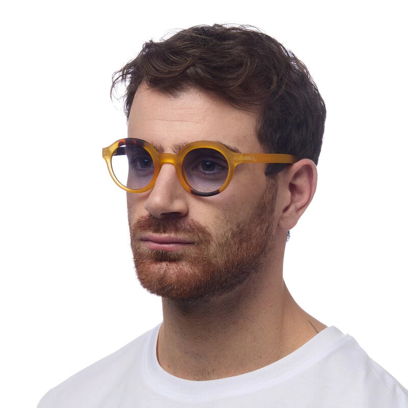 Okkia Lauro Unisex Yuvarlak Sarı Havana Güneş Gözlüğü Siyah Gradyan