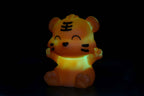 Dhink Zodiac Baby Tiger Gece Lambası