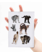 Mustard Sinirli Kediler Magnet