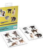 Mustard Sinirli Kediler Magnet