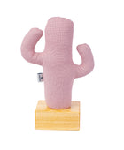 Kayigo Cactus Lavanta Dolgulu  Notluk