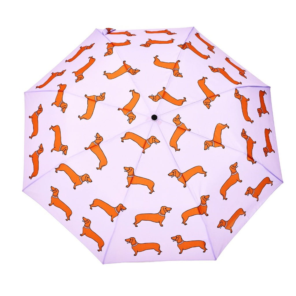 Original Duckhead Duck Kompakt Şemsiye Dachshund Purple