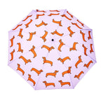 Original Duckhead Duck Kompakt Şemsiye Dachshund Purple
