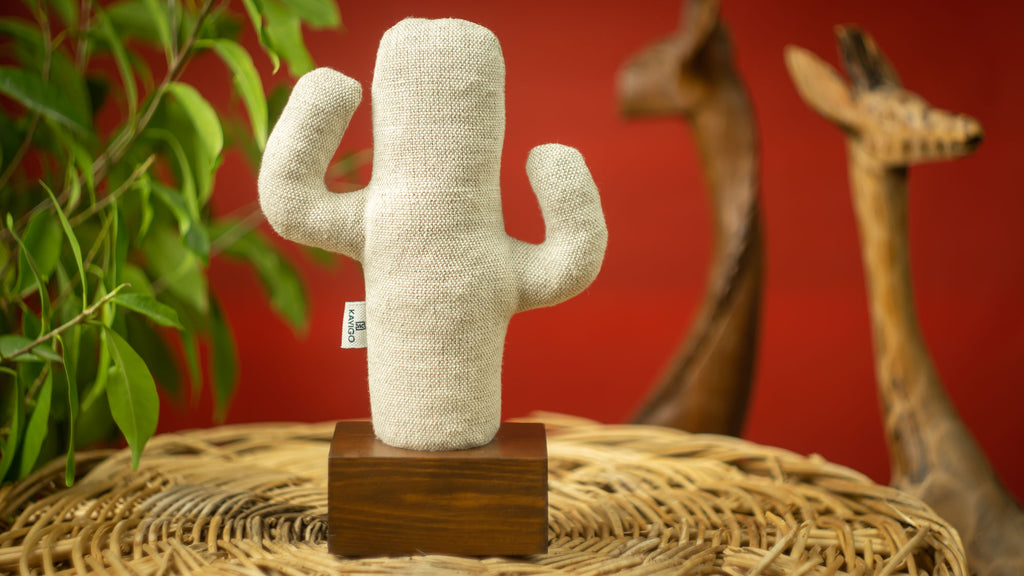 Kayigo Cactus Lavanta Dolgulu Notluk