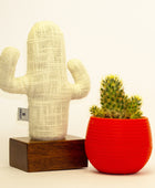 Kayıgo Cactus Lavanta Dolgulu Notluk