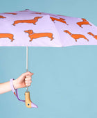 Original Duckhead Duck Kompakt Şemsiye Dachshund Purple