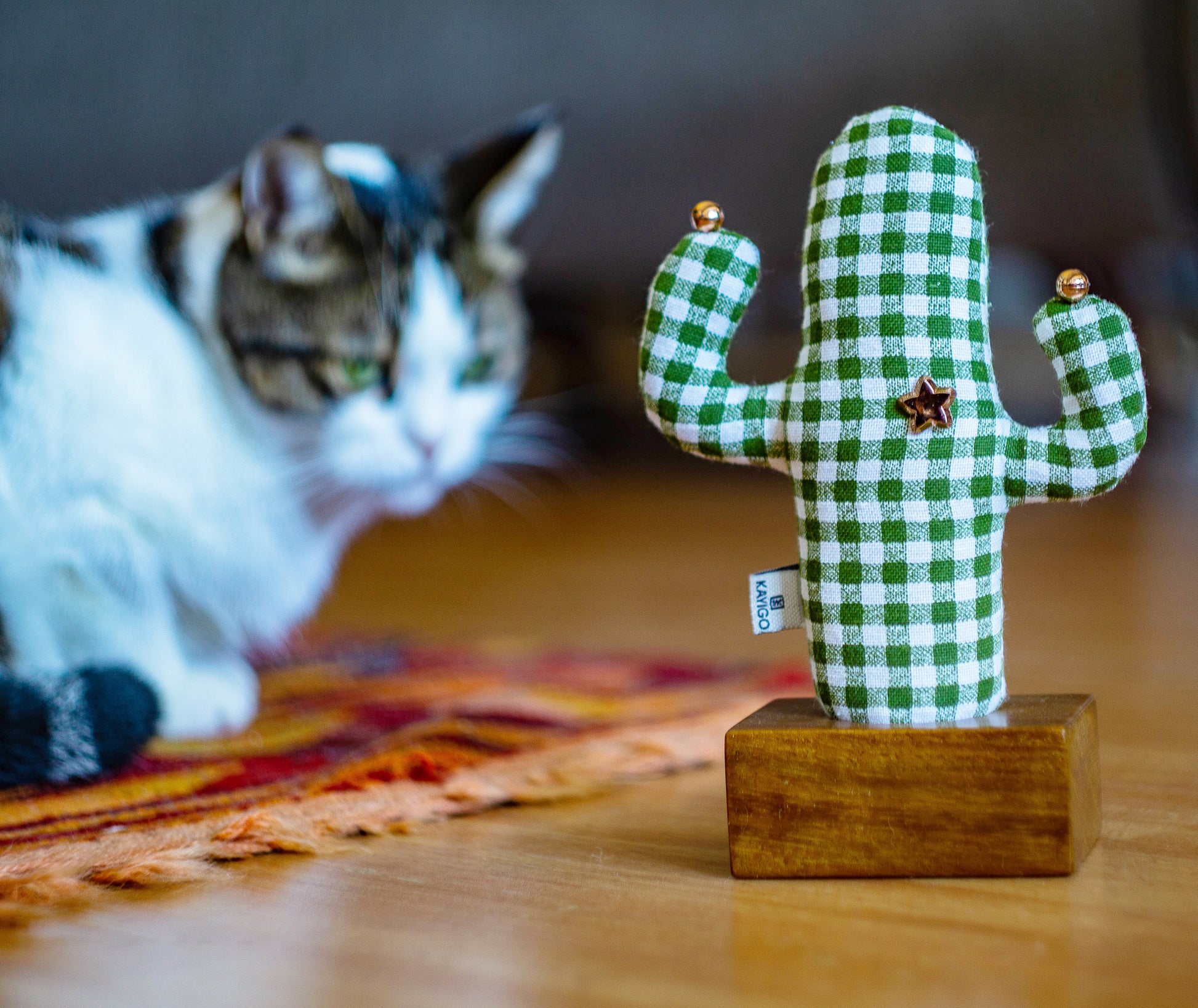 Kayıgo Cactus Lavanta Dolgulu Notluk - Yeşil Pötikare