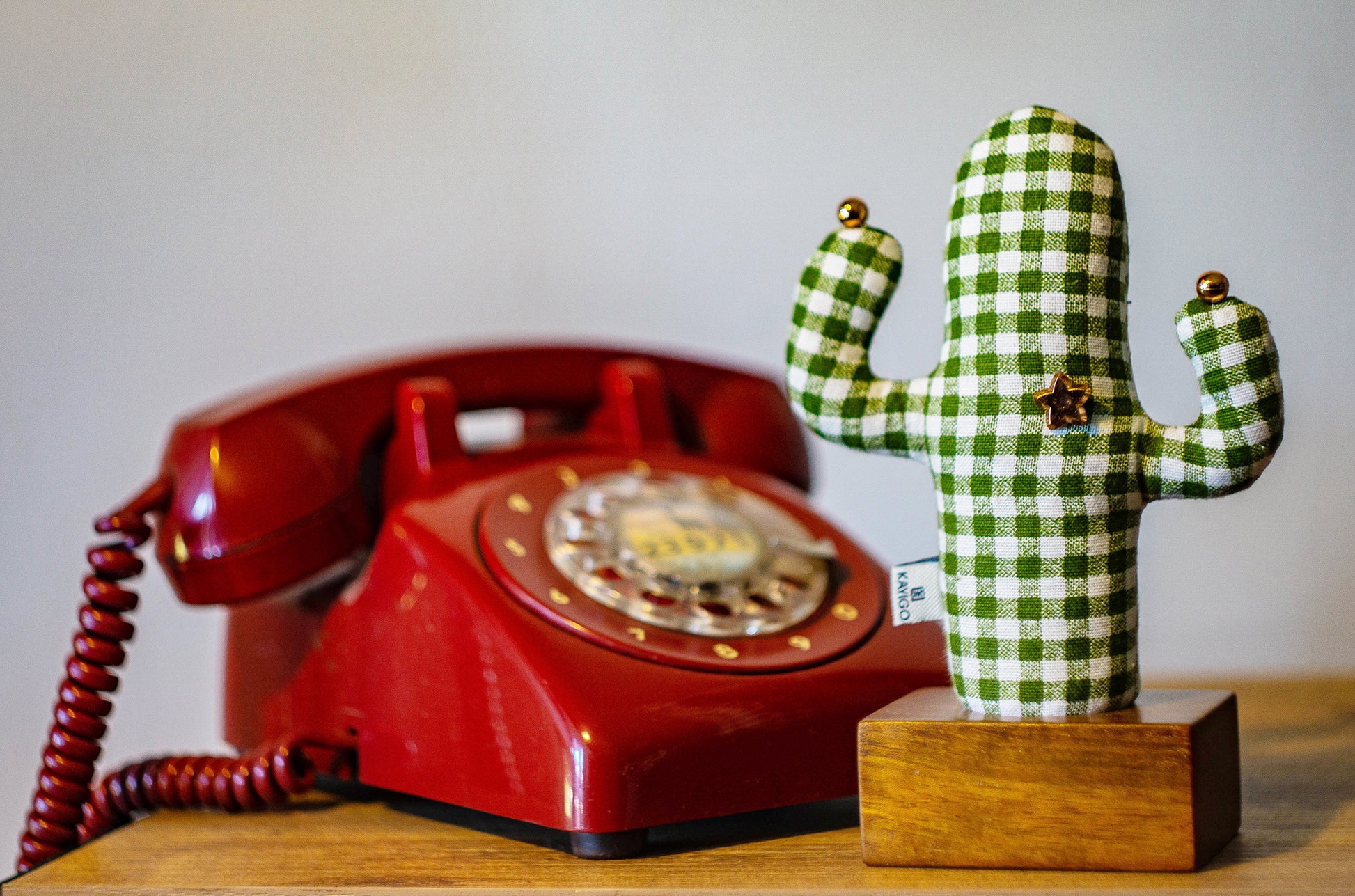 Kayıgo Cactus Lavanta Dolgulu Notluk - Yeşil Pötikare