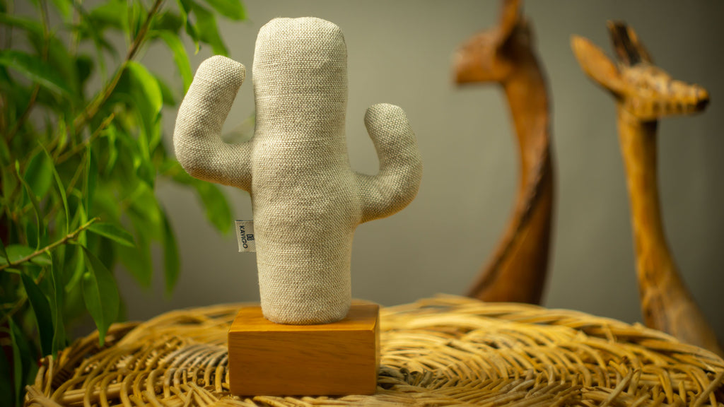 Kayigo Cactus Lavanta Dolgulu Notluk