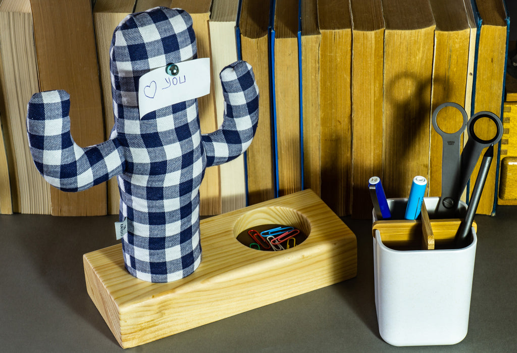 Kayigo Cactus XL + Station Organizer