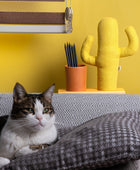 Kayigo Lavender Kalemlik & Notluk - Sarı Kaktüs