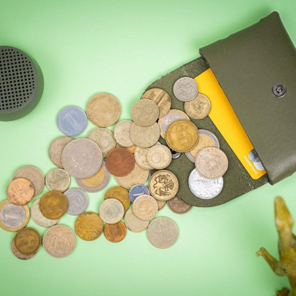 Marsel Kartvizitlik / Kulaklık Çantası Yeşil - Bonherre