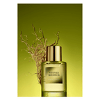 Parfüm - Vetiver Bourbon EDP - Bonherre