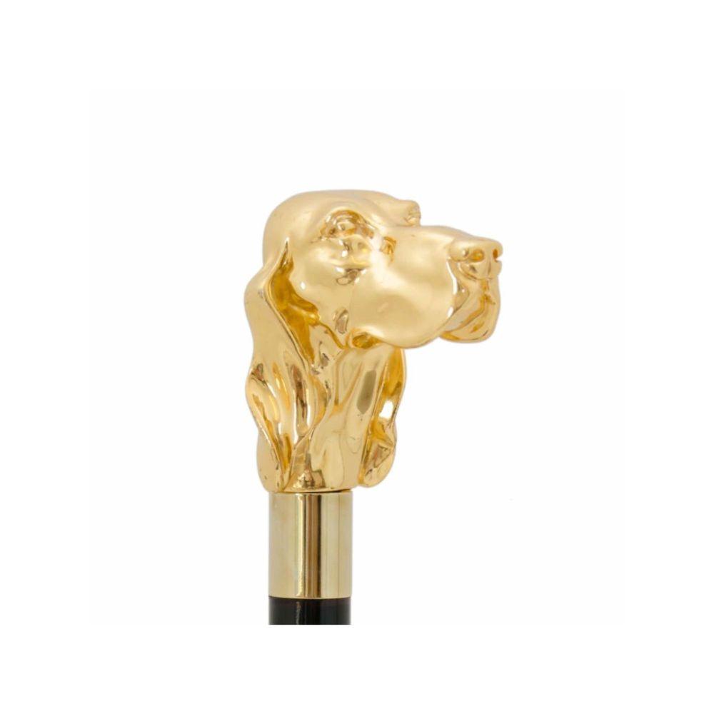 Pasotti Şemsiye - Altın Fido Bastonu - Bonherre