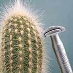 Unisex Klasik Tıraş Makinesi - Companion - Bonherre