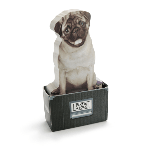 Dog in a Box - Notluk - Bonherre