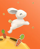 Havuç & Tavşan Broş Seti - Bonherre