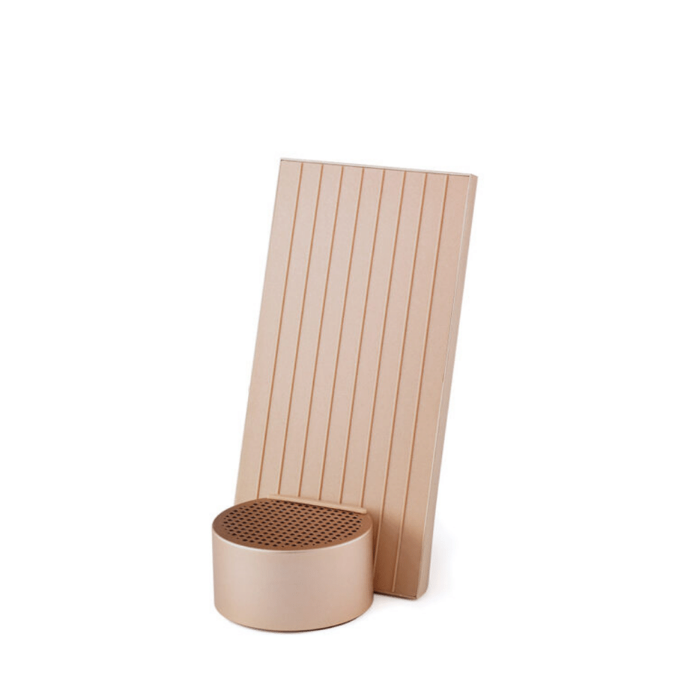 City Kablosuz Şarj Cihazı Ve Bluetooth Hoparlör - Bonherre