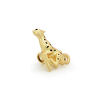 Leopar & Tropikal Yaprak Broş Seti - Bonherre