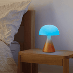 Mina L Led Lamba - Turuncu - Bonherre