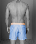 PABLO CALVI Deniz Şortu - Bonherre