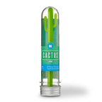 Cactus Kalem - Bonherre
