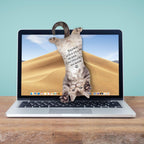 Cat Asılabilir Notluk - Bonherre