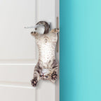 Cat Asılabilir Notluk - Bonherre