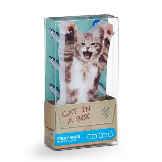 Cat in a Box Kutulu Yapışkanlı Not Kağıdı - Bonherre