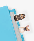 Dog in a Book - Bonherre